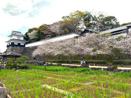 ��¼�ԡ��ߥ�����IMG_7201