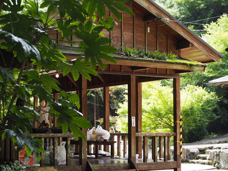 2022.07.26 諫早市 富川渓谷バンガローP7172759