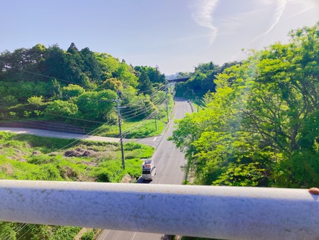 2022.04.19������Ը��Į���ֱ�IMG_5739