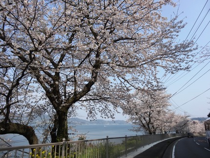 6-DSC08590