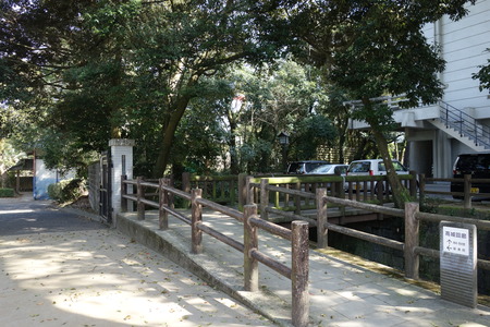 11-�������DSC05245