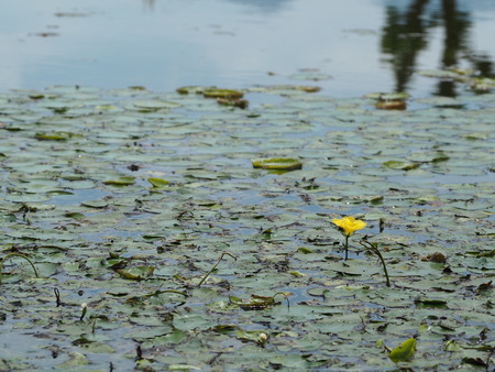 2022.05.31 ����Կ���Į������ϥ���P5291087