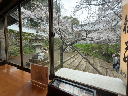 ��¼�ԡ��ߥ�����IMG_6961