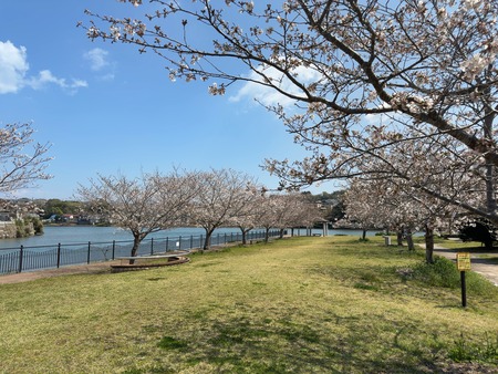 �׳��䤹�餮�ξ���IMG_7578