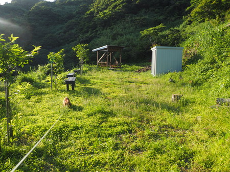 2023.07.11 Ĺºê»ÔÌîÊìºê¡¡ÌîÊì¤ó¤ÁP1019317