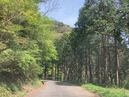 2025.07.19�����ὤ¿��ο�IMG_1213