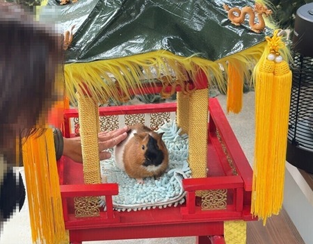 Ĺ����ࡡ����åȤΥ���1771066488