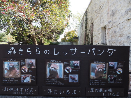 2021.11.14 �����ݻԡ��彽����ư��ʪ�ࡡ�������PB136526