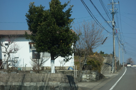 ��-������DSC04161