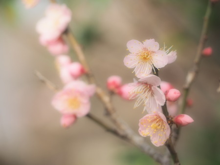 2023.03.04����¼�ԡ���¼����P1011982