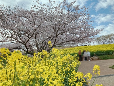 �������⸶_1648563566