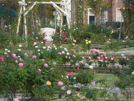 �ϥ����ƥ�ܥ����Х��PB071573