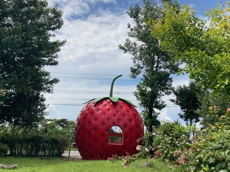 2023.10.15 諫早市小長井町 山茶花高原IMG_7147