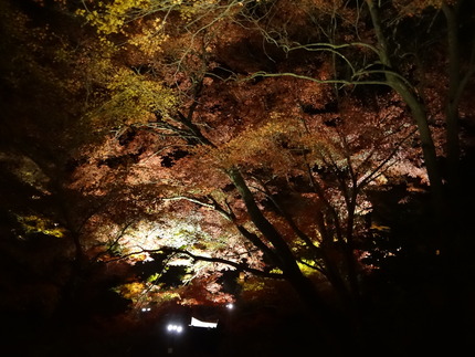 �����ݸ������ڱ�DSC09643