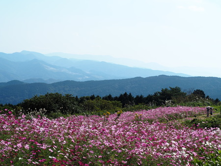 2022.10.28���׳��ֿ����PA232432