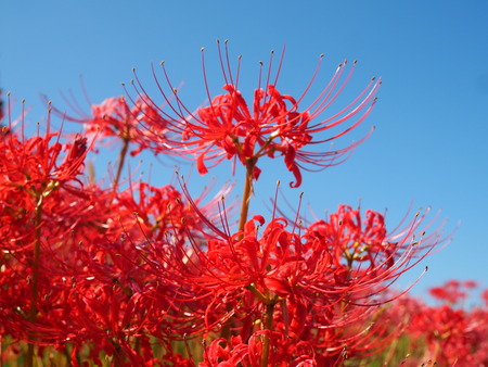 ĹԶ׳ΤֱֲPA021409