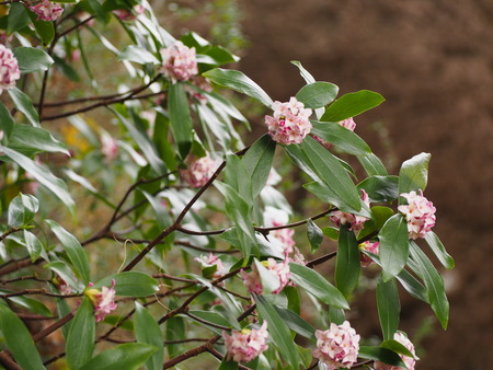 ��¼�ԡ���μ¡�������P3081689