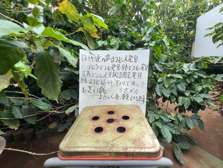 ¥¹¥³¡¼¥³¡¼¥Ò¡¼¥Ñ¡¼¥¯¡¡¥³¡¼¥Ò¡¼±àIMG_6028