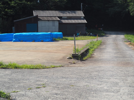 2025.07.22¡¡ëÝÁá»Ô¡¡ÅâÈæ¥Ï¥¹±àP7230177