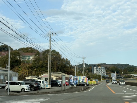 ����Ծ�Ĺ��Į�������ѵ���ľ��ŹIMG_8574