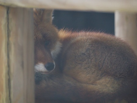 Ĺ����ࡡ���ĥ�P2141795