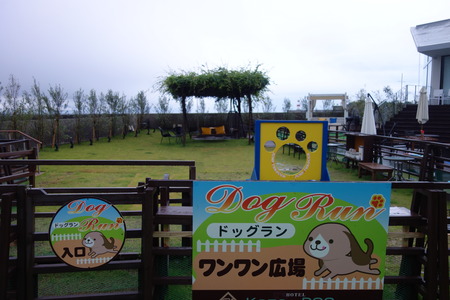 24-13-9-�ۥƥ�����ϰDSC09310