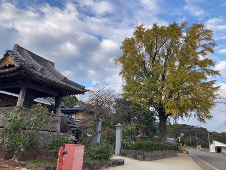 2024.12.01 taradake outdoor garaIMG_0863