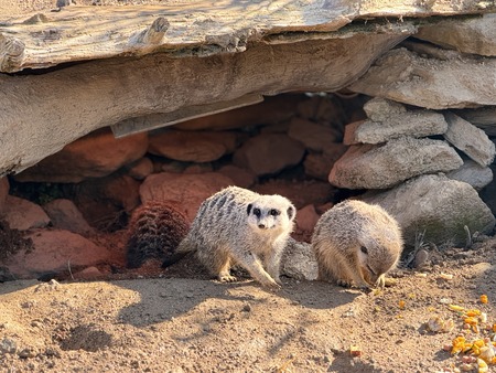 Ĺ��Х����ѡ������ߡ�������å�IMG_0267