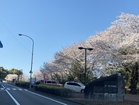 2023.03.28 諌早市 のぞみ公園IMG_5586