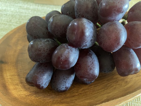 ����ʡ����꡼�֤ɤ���IMG_5181