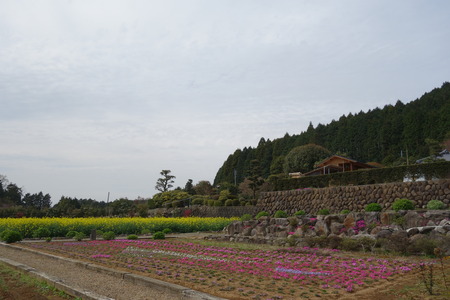 6-Oさん宅DSC06098