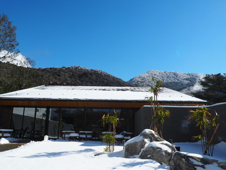 2022.12.27�����粹����������P1012623