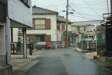 6−島原 柴犬DSC09228