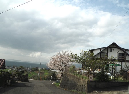 2023.03.29 大村市草場町 雪桃P1010041