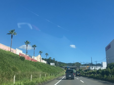 Ļ���ץ�ߥ��ॢ���ȥ�å�IMG_8291