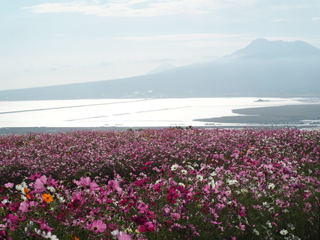 2023.10.13�����ᡡ�������⸶PA131426