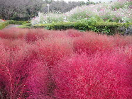 ͭ���ο��ե�����PB021534