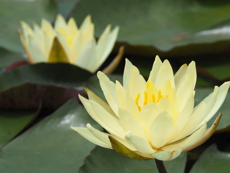 2022.05.31 ����Կ���Į������ϥ���P5291069