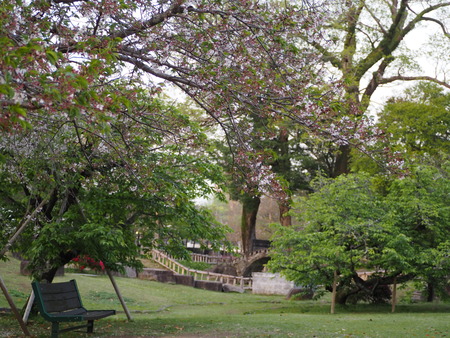 2023.04.07 諫早公園P1012848