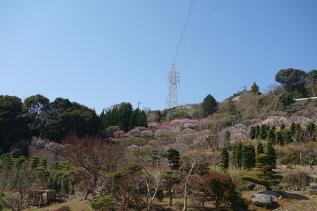 13-虎馬園DSC04933