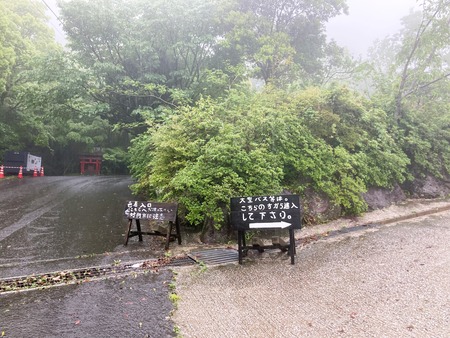 2023.05.07 ���縶�Կ���Į�����奬���ޥ󥺥��ե�IMG_9007