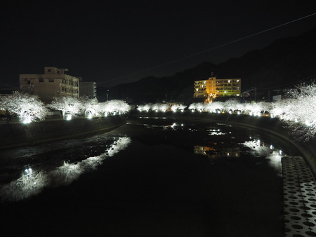 2023.03.31��Ĺ��ԡ���Ϻ��κ�����P1011097