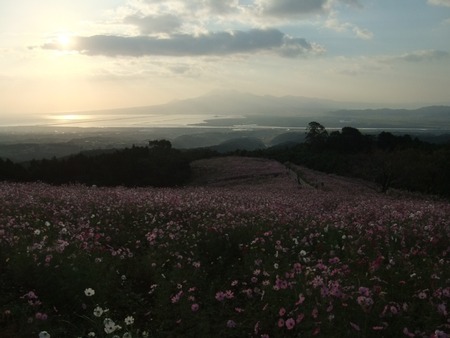 1-DSCF2871