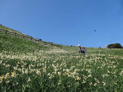 16-�����DSC00643