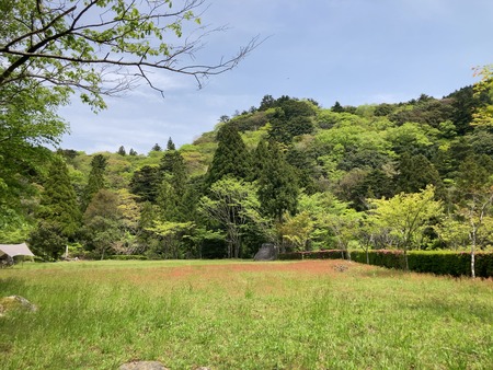 2025.07.19�����ὤ¿��ο�IMG_1290