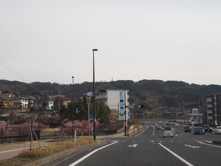 2023.03.04����¼�ԡ��׸�����P1012037