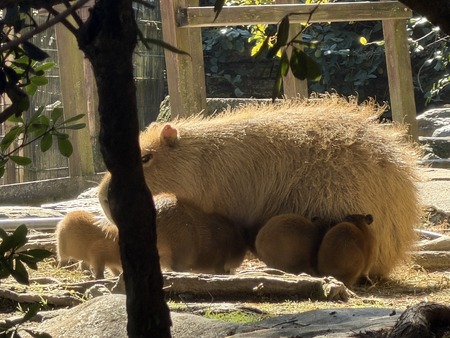 Ĺ��Х����ѡ��������ԥХ���֤����IMG_0635