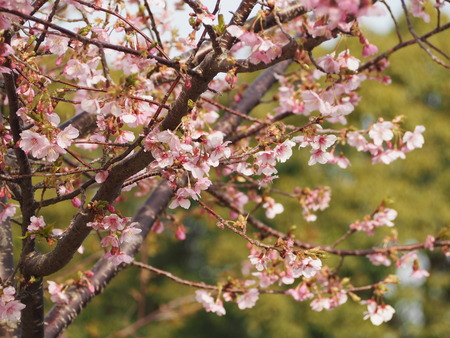 2023.03.04����¼�ԡ���¼����P1012000