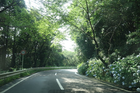 2�����������ϥ���DSC08808