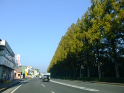 ha-1DSCF6749